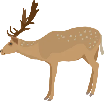 a deer with ants on it's back