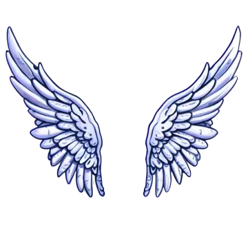 a pair of wings on a white background