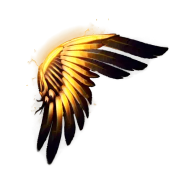 a feather on a white background