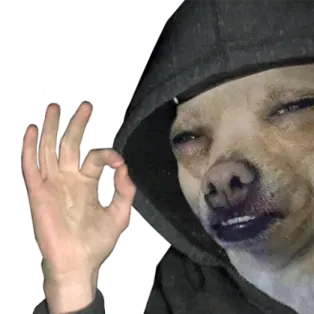 a picture of a dog wearing a hoodie