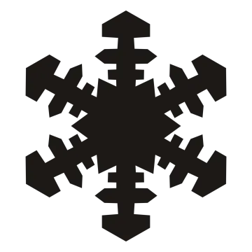 a black and white image of a snowflor