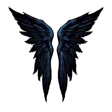 a pair of wings on a white background