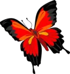 a butterfly with red and black wings