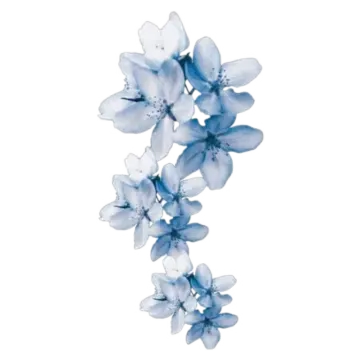 a blue flower on a white background