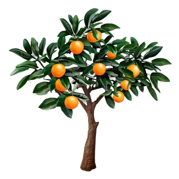 a tree with oranges on it