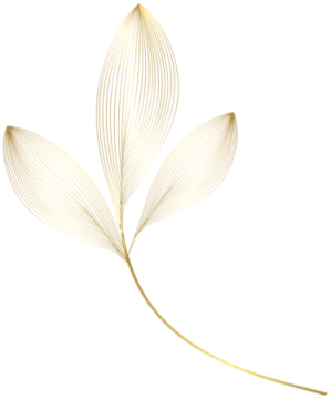 a golden leaf on a white background