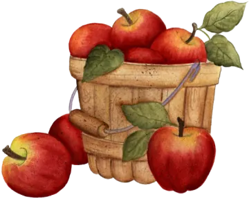 apples in a basket
