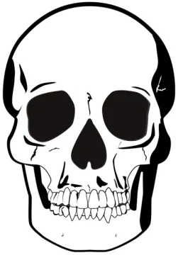 a black and white skull with teeth