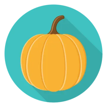 a pumpkin icon with a long shadow