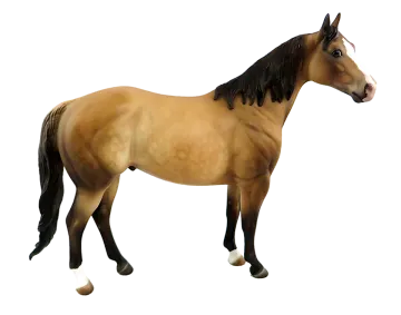 the horse is brown