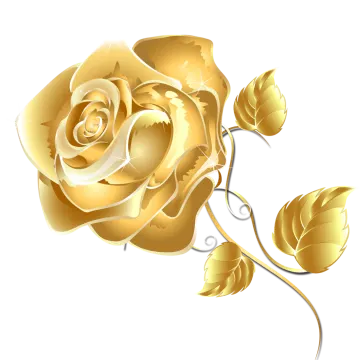 a golden rose on a white background