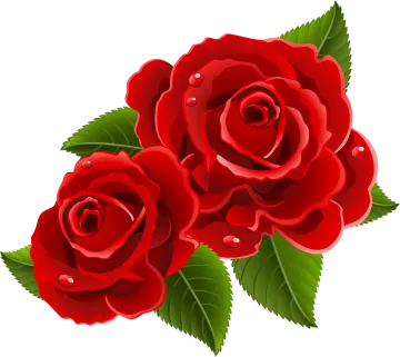 three red roses with green leaves