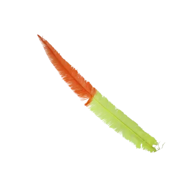 a green and orange feather on a white background