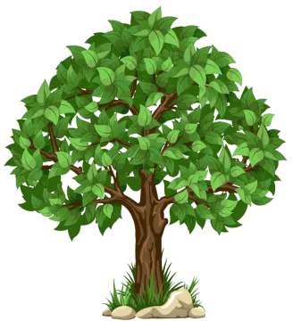a tree with green leaves on white background