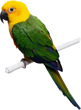 a green and yellow parrot perched on a white pole
