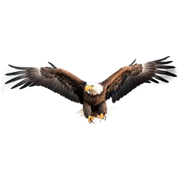 an eagle flying in the air with its wings spread