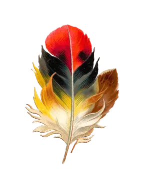 a watercolor feather on a white background