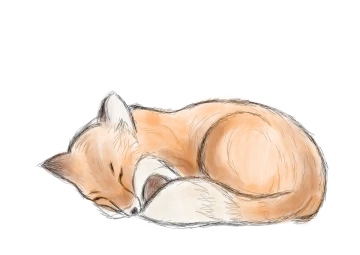 a drawing of a sleeping fox
