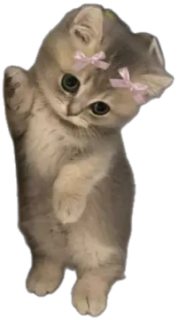 a small kitten with a pink bow on its head