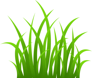 a bunch of green grass clipart