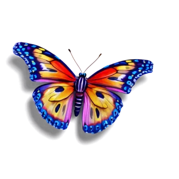 a colorful butterfly on a white background