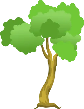 a tree with green leaves