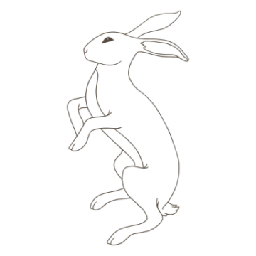how to draw a rabbit