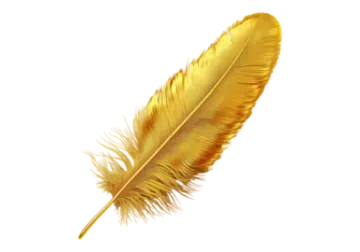 a golden feather on a white background