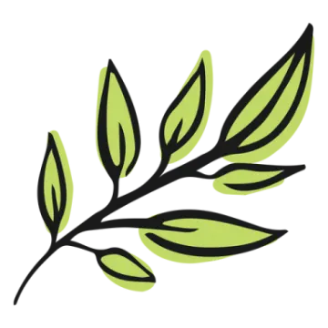 a green leaf on a white background
