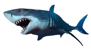 a great white shark with its mouth open