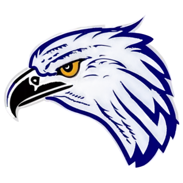 an eagle head with yellow eyes