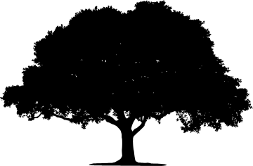 a black and white silhouette of a tree