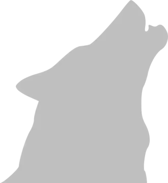 a wolf silhouetted on a white background
