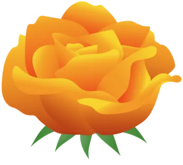 a yellow rose with green leaves