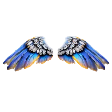 two blue and yellow wings on a white background