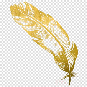 a golden feather on a transparent background