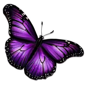 a purple butterfly on a white background