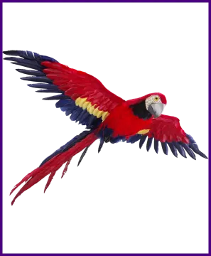 a red and yellow parrot flying in the air