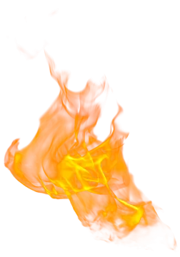 a close up of a fire on a white background