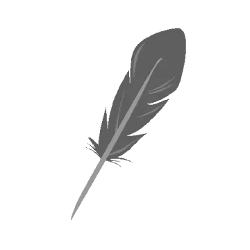 a black feather on a white background