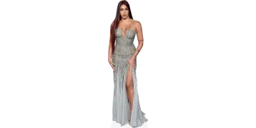 a woman in a silver gown