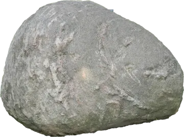 a large rock on a white background
