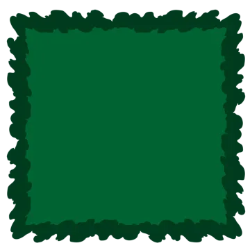 a green square frame
