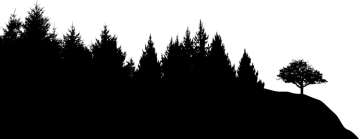 a black and white silhouette of trees on a hill