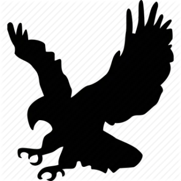 an eagle silhouette on a white background
