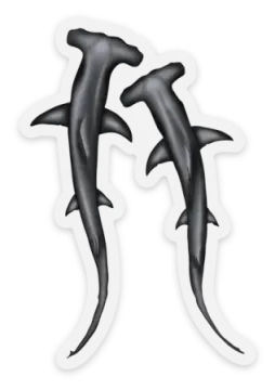 two dolphins stickers
