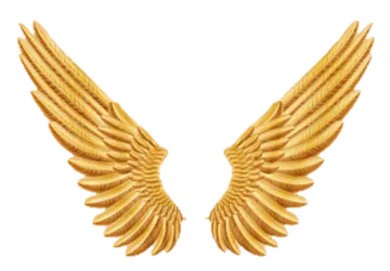 a pair of golden wings