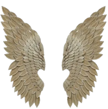 a pair of gold angel wings