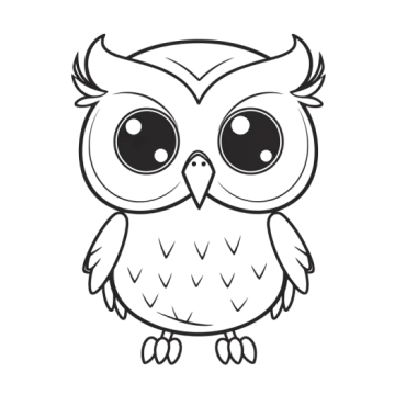 how to draw an owl
