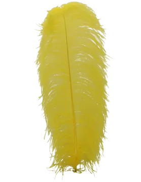 a yellow feather on white background